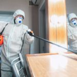 How disinfection services can eliminate covid-19